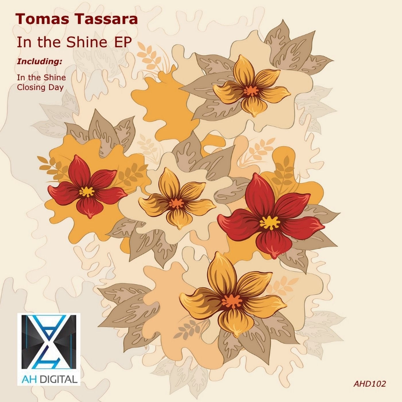 Cover art for the In the Shine EP by Tomas Tassara on AH Digital.